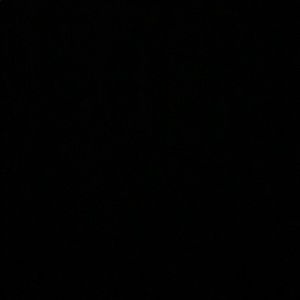 Meet your Posher, Bella